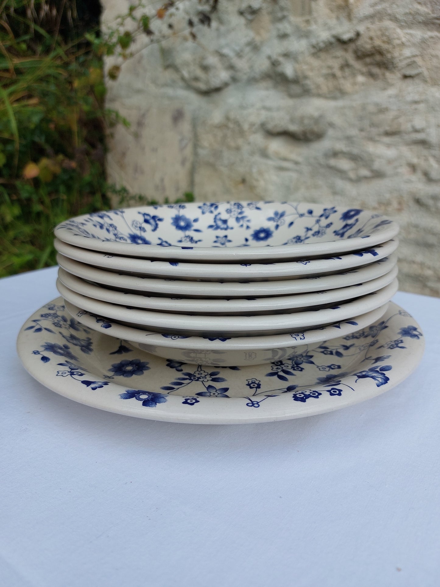 Lot de 6 assiettes creuses et 1 assiette plate décor "fleur bleu"