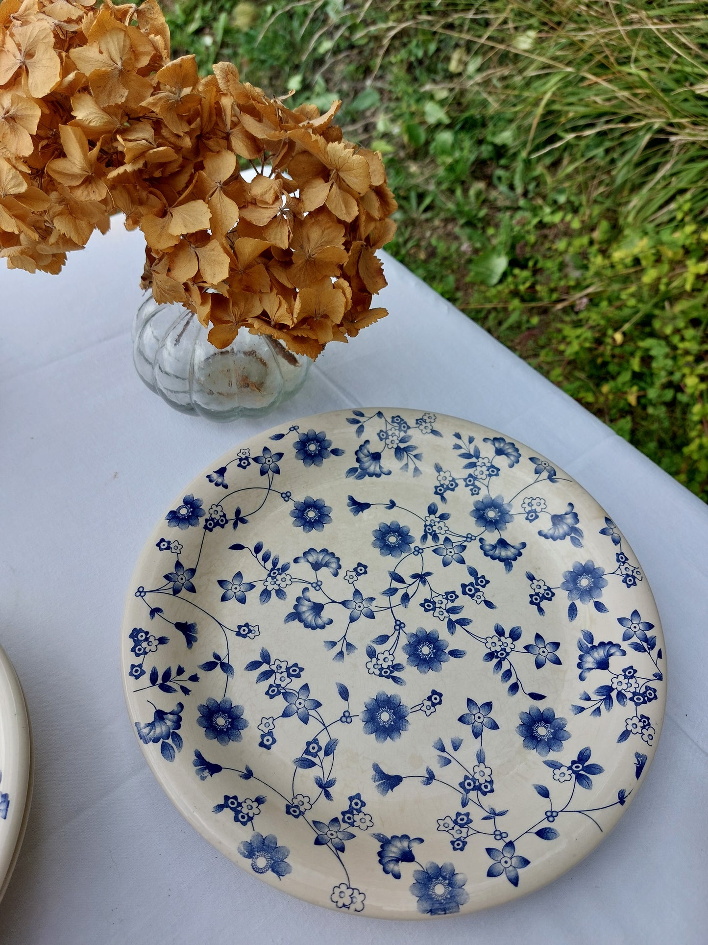 Lot de 6 assiettes creuses et 1 assiette plate décor "fleur bleu"