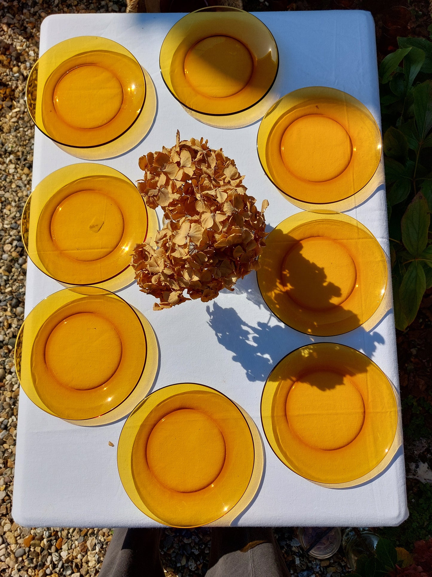 Lot de 8 assiettes à dessert Duralex