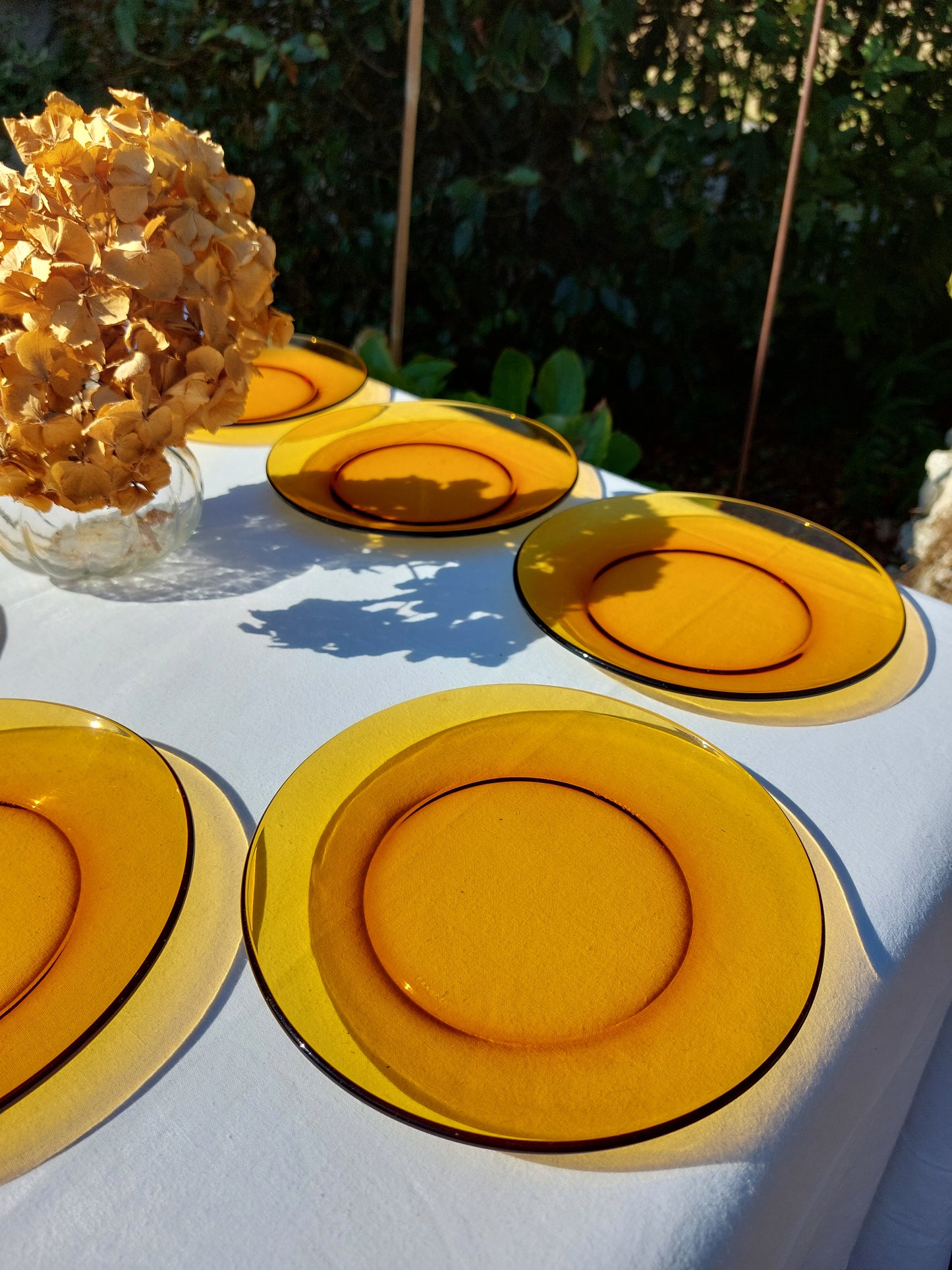 Lot de 8 assiettes à dessert Duralex