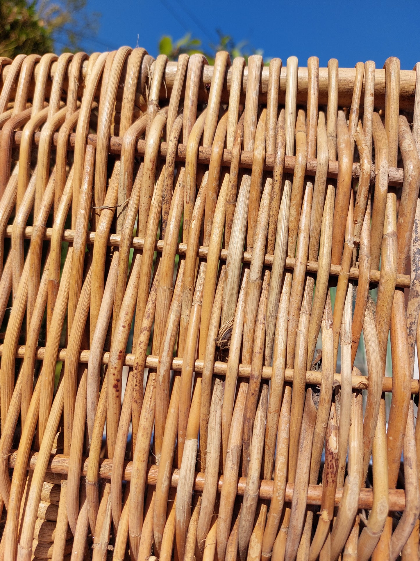 Panier en osier