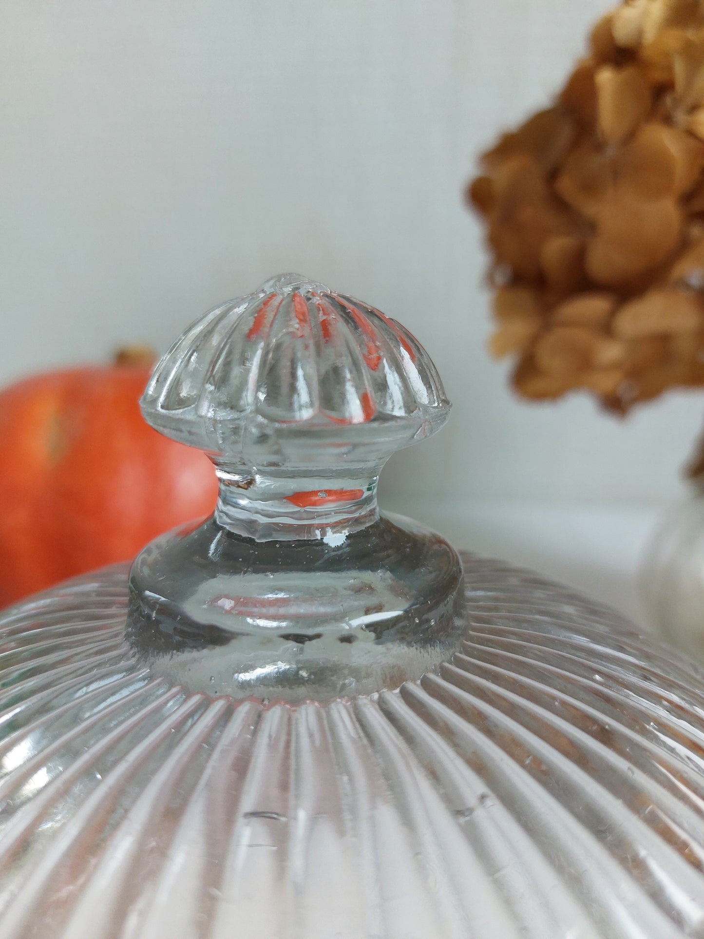 Cloche à fromage 2