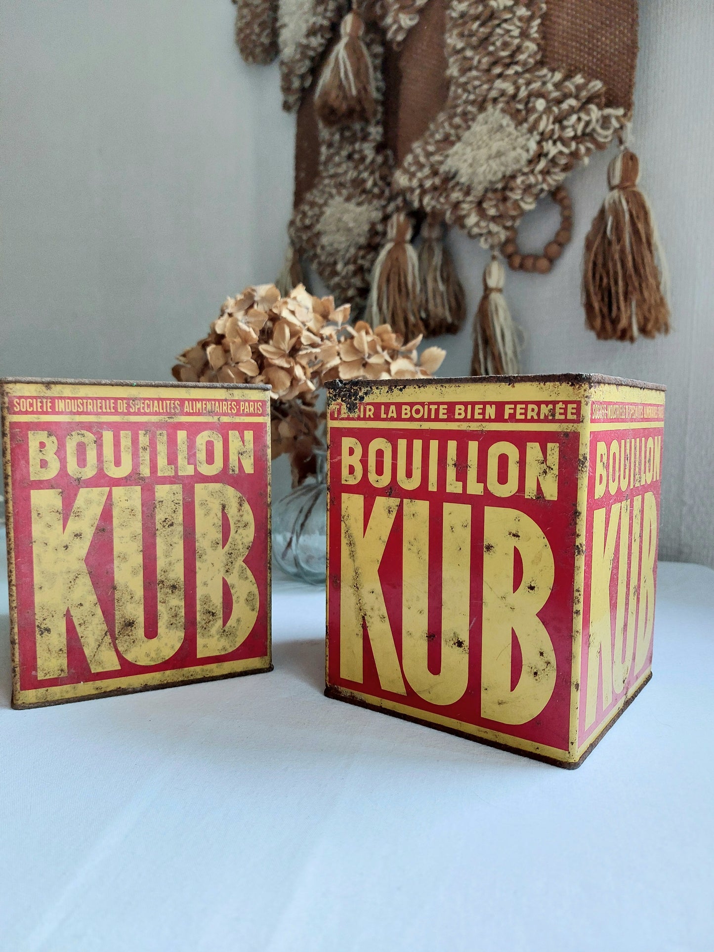 Lot de 2 boîtes bouillon KUB