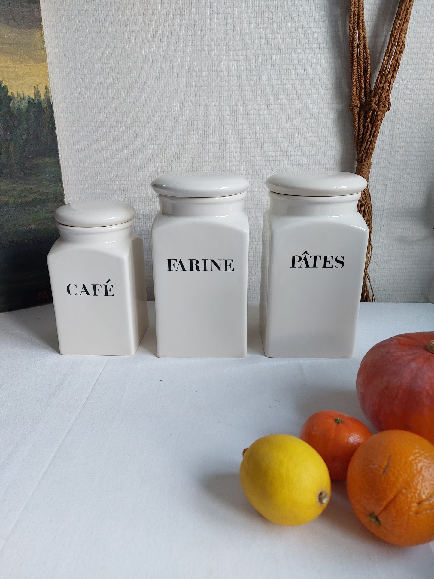 Lot de 3 pots de conservation "Habitat"