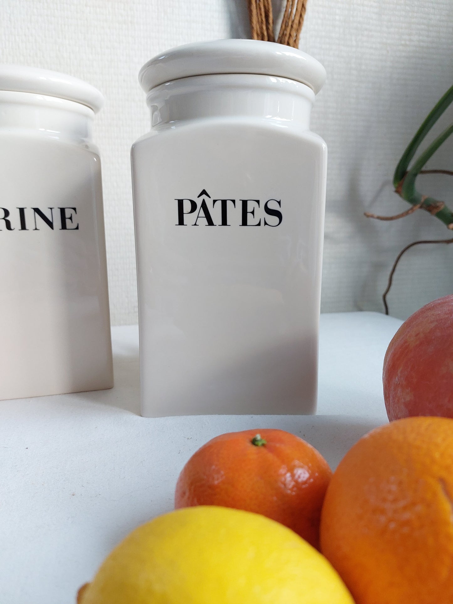 Lot de 3 pots de conservation "Habitat"
