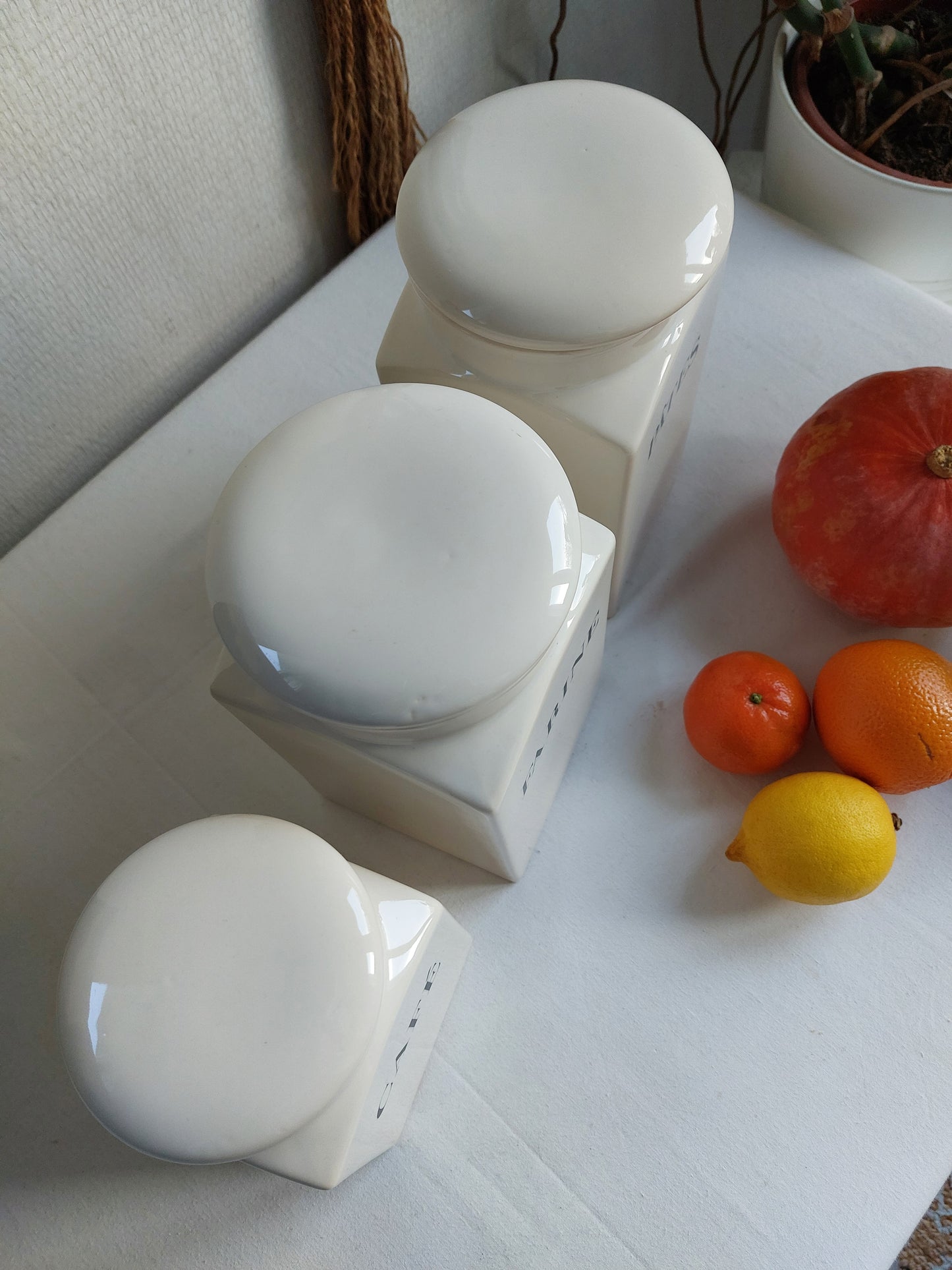 Lot de 3 pots de conservation "Habitat"