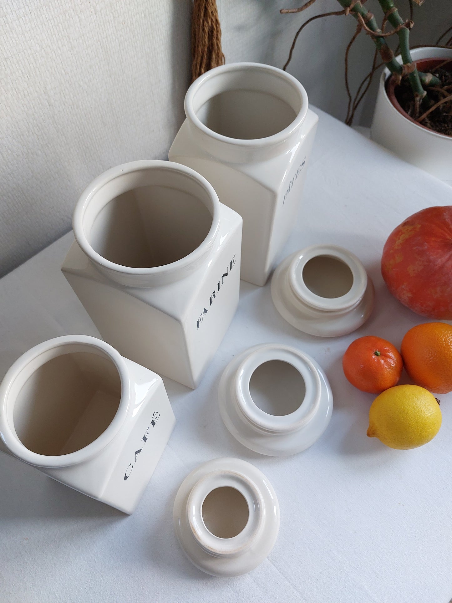 Lot de 3 pots de conservation "Habitat"