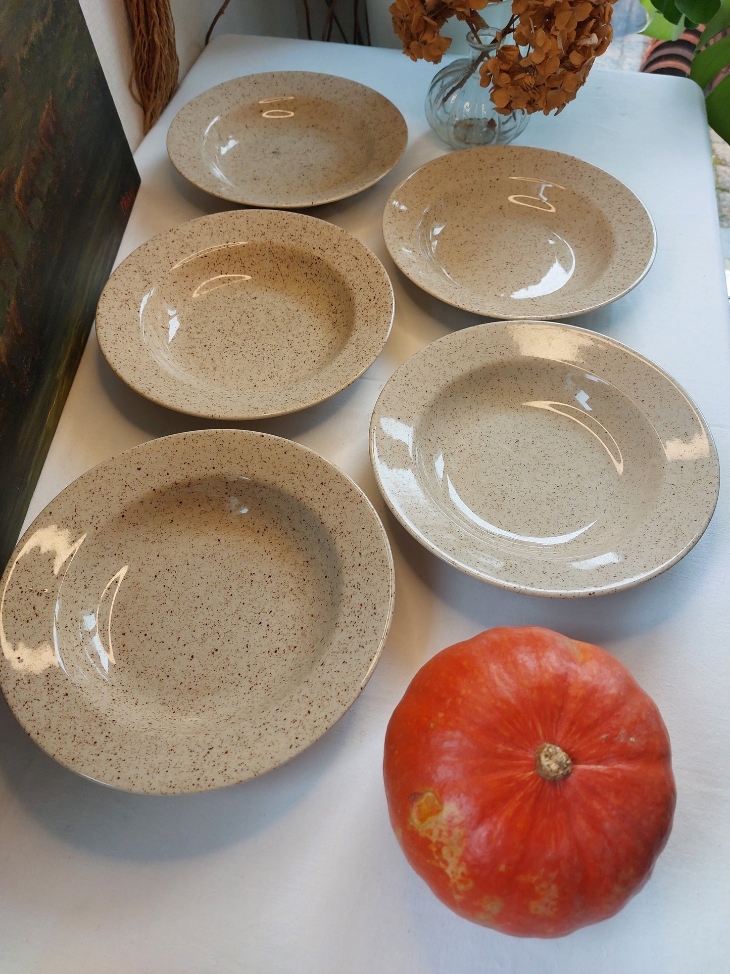 Lot de 5 assiettes creuses en grès