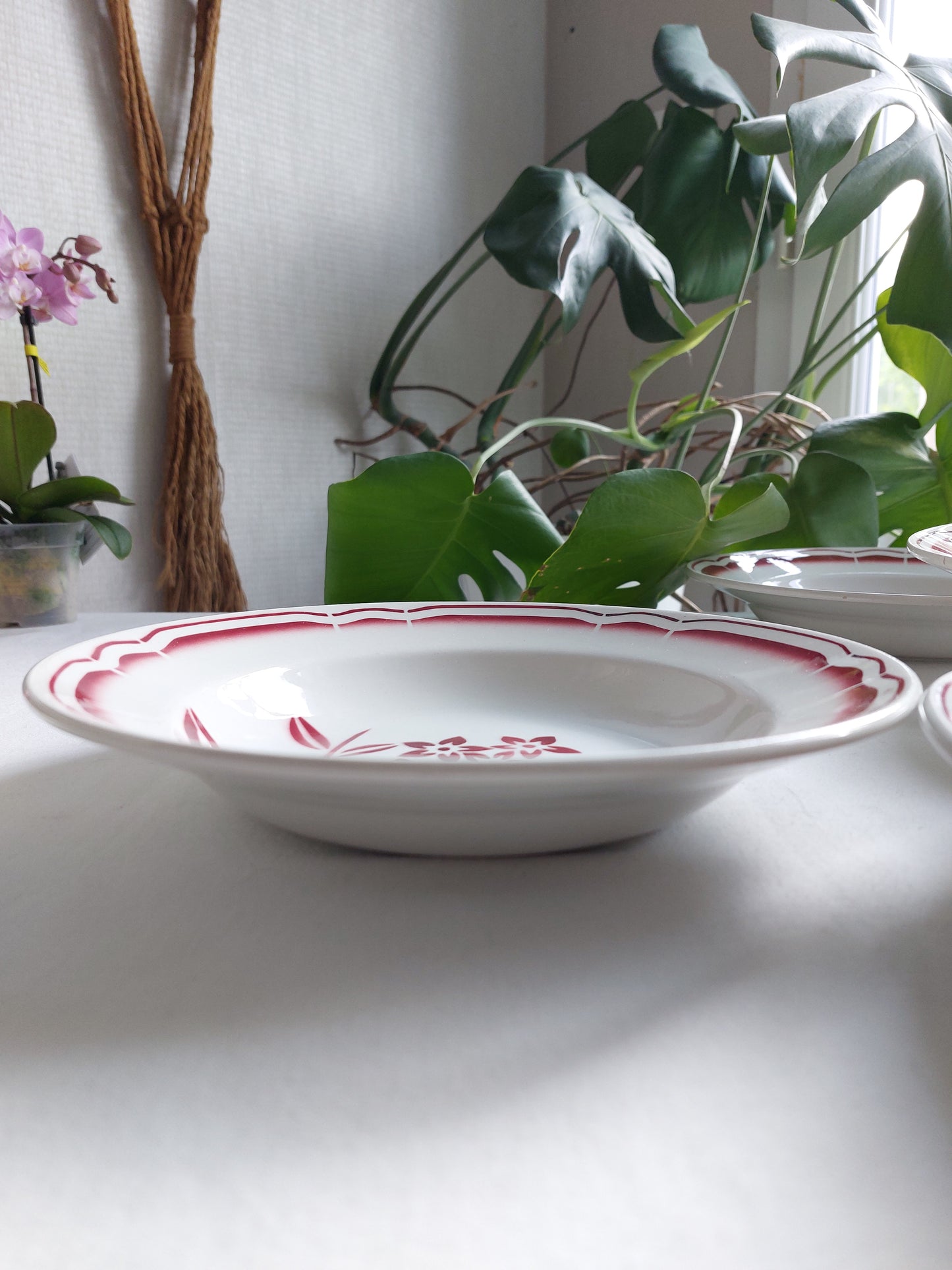 Lot de 5 assiettes creuses Badonviller