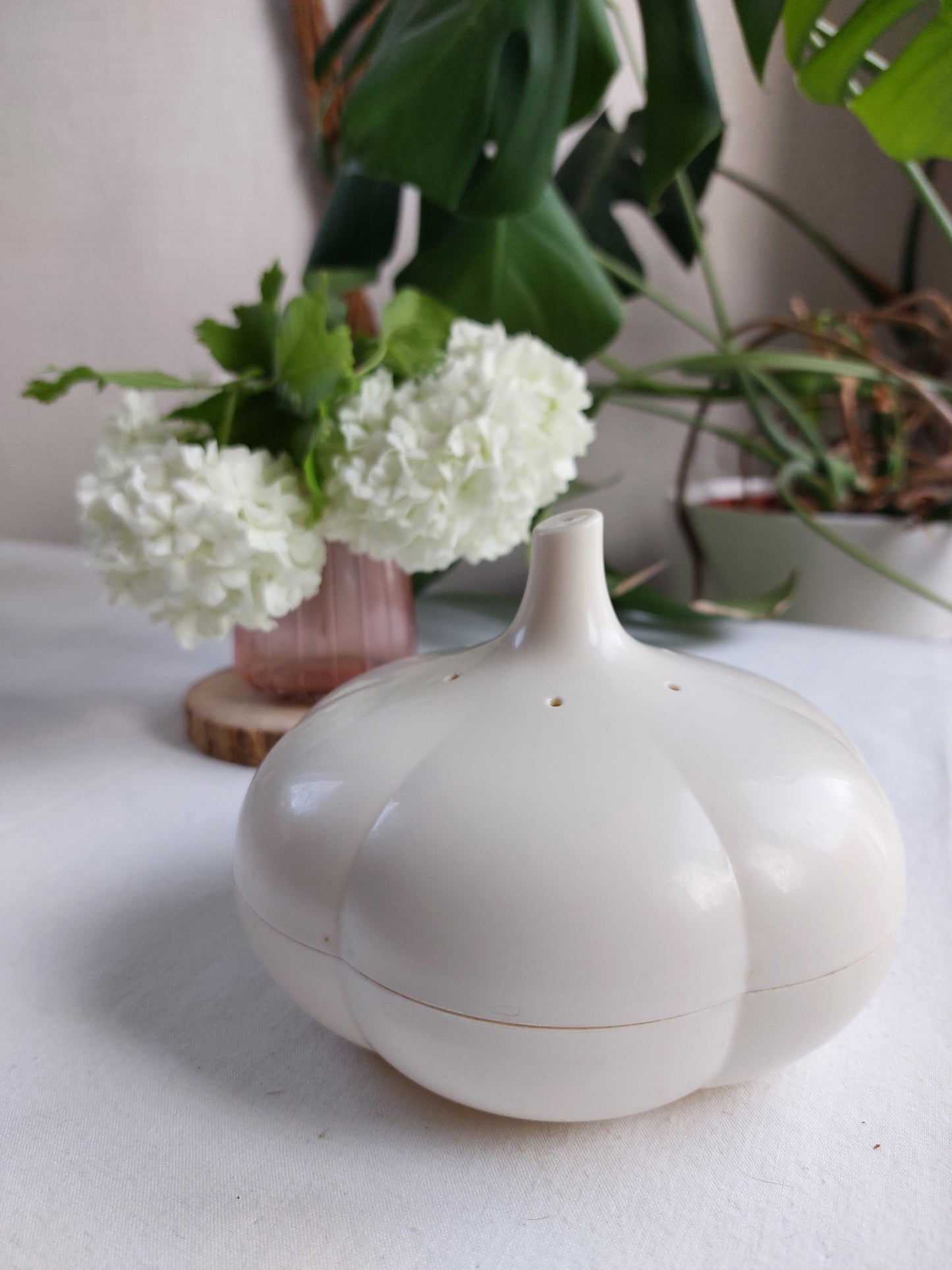 Boîte Tupperware "Ail"