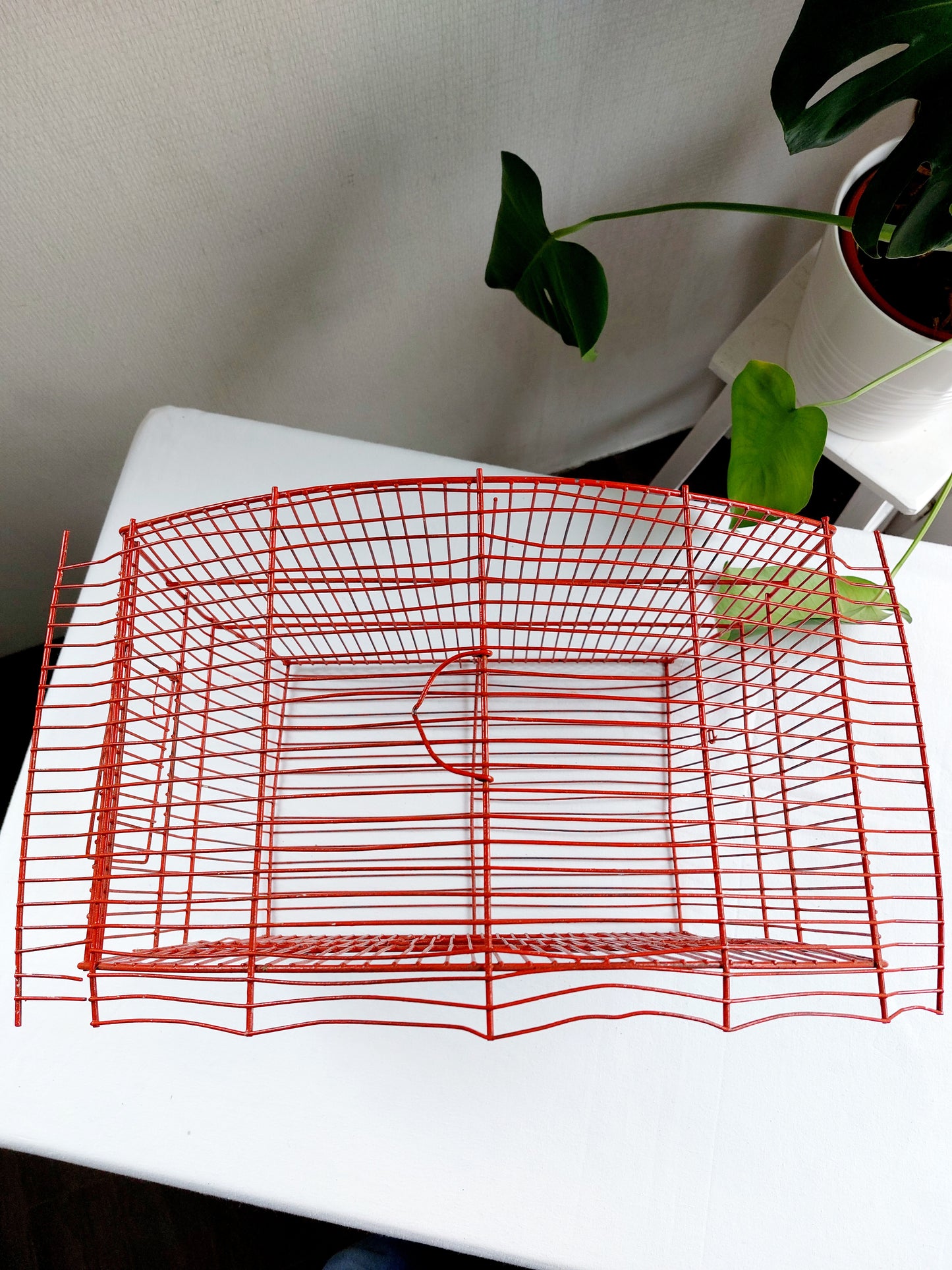 Cage à oiseaux vintage