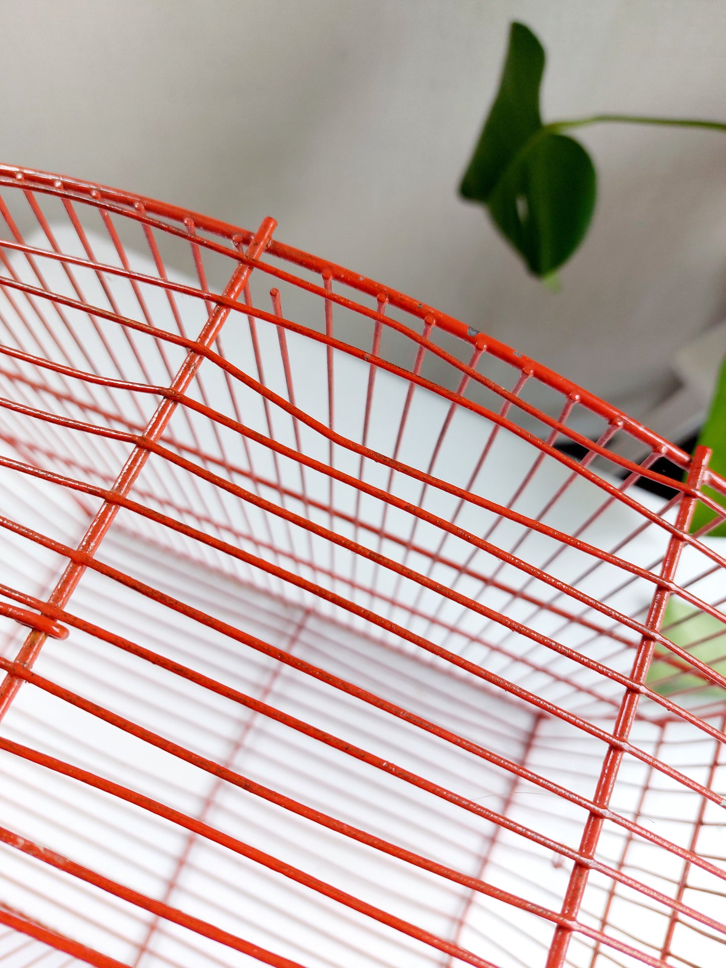 Cage à oiseaux vintage