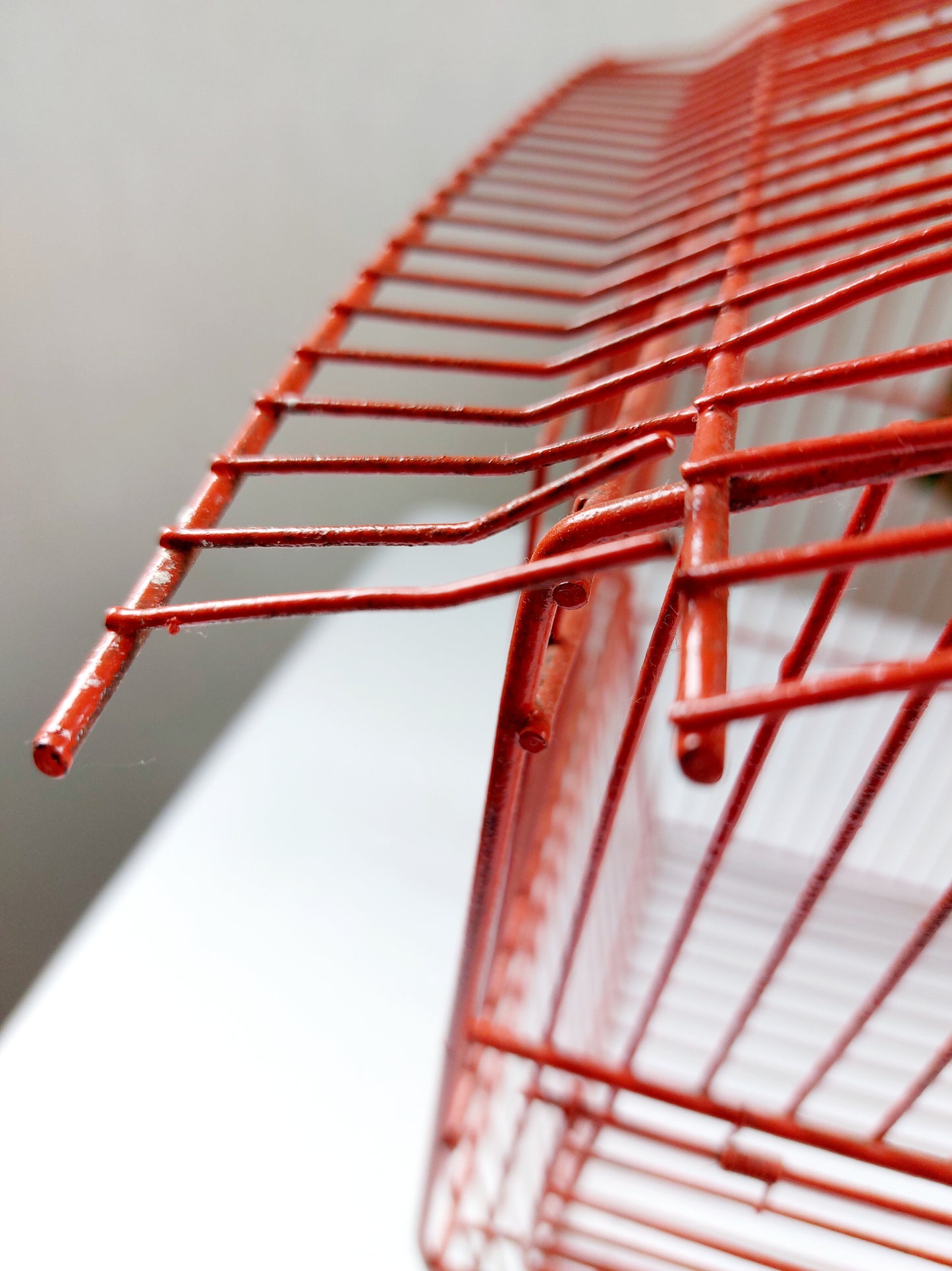Cage à oiseaux vintage