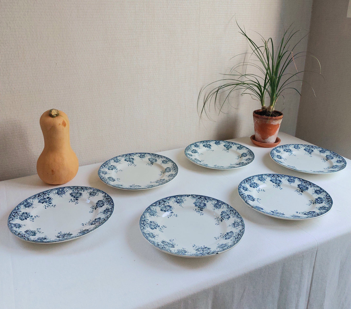 Lot de 6 assiettes plates Terre de Fer par St Amand