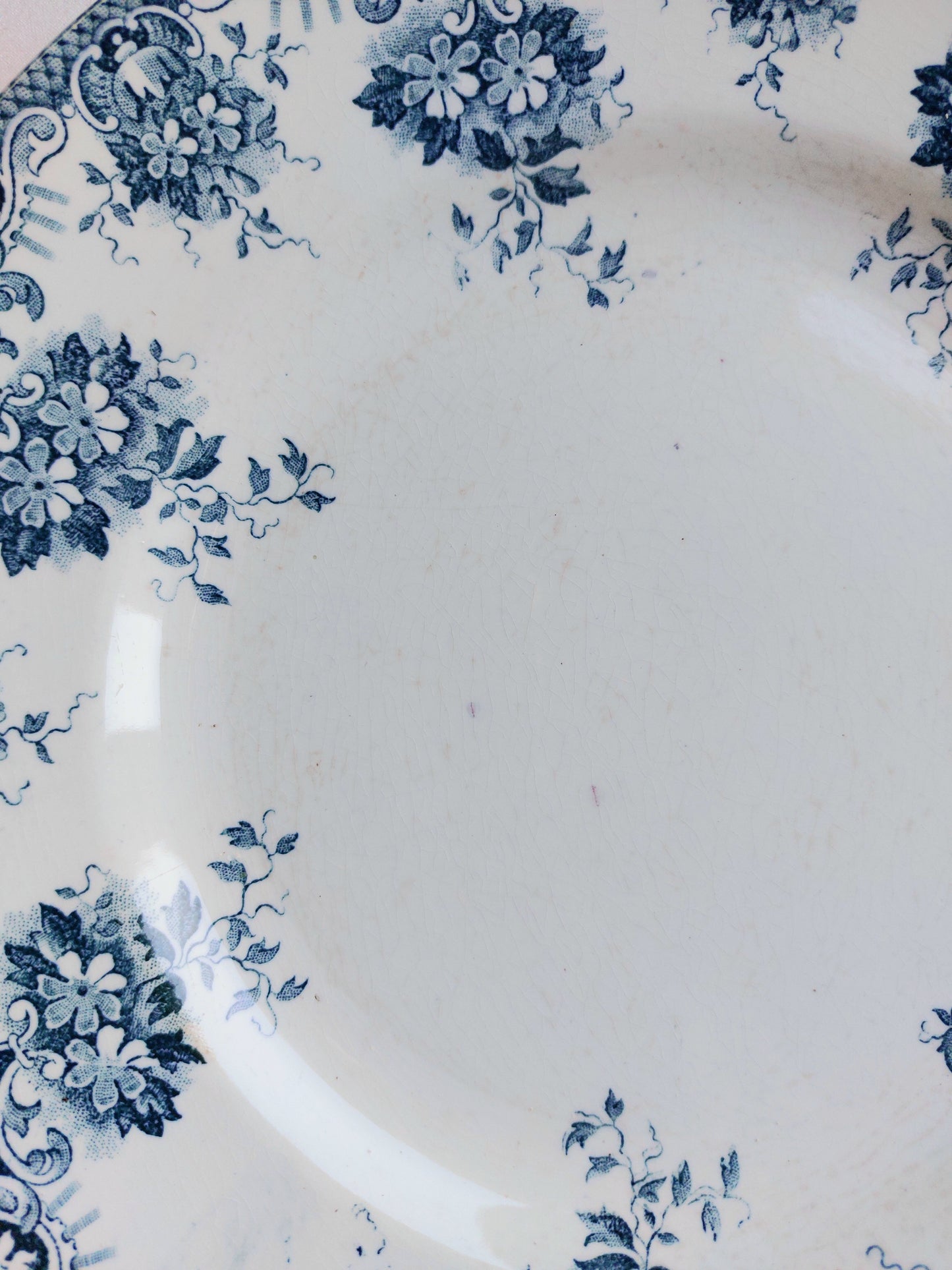 Lot de 6 assiettes plates Terre de Fer par St Amand