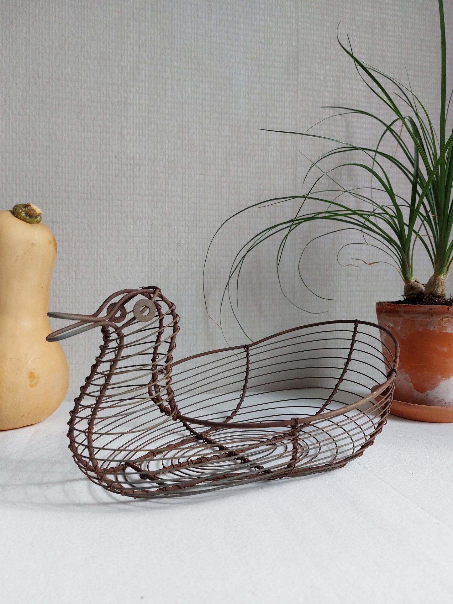 Panier ancien en fil de fer « canard »