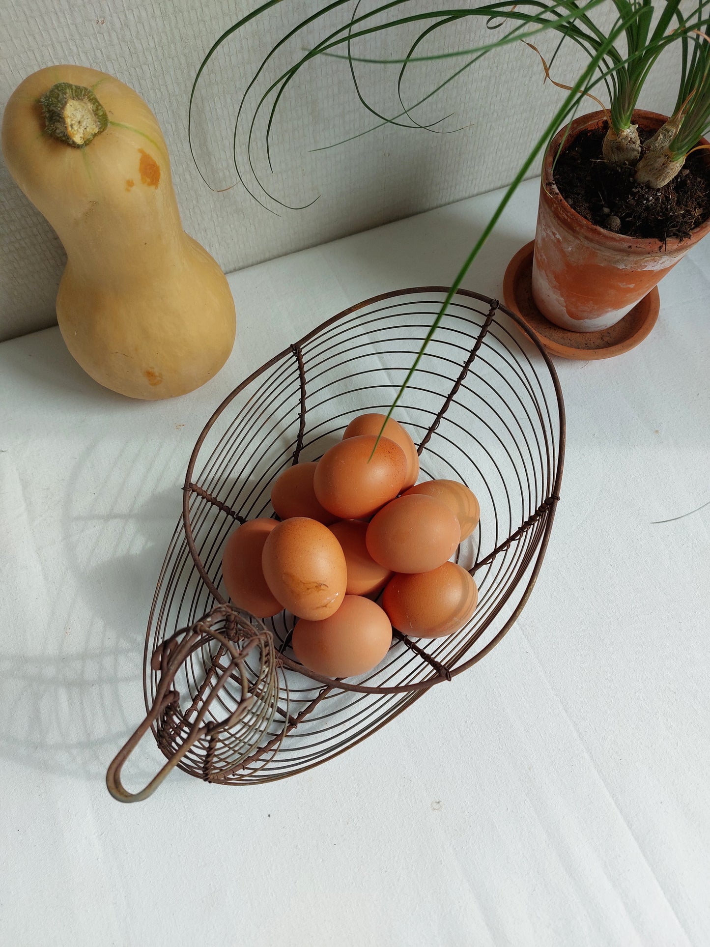 Panier ancien en fil de fer « canard »
