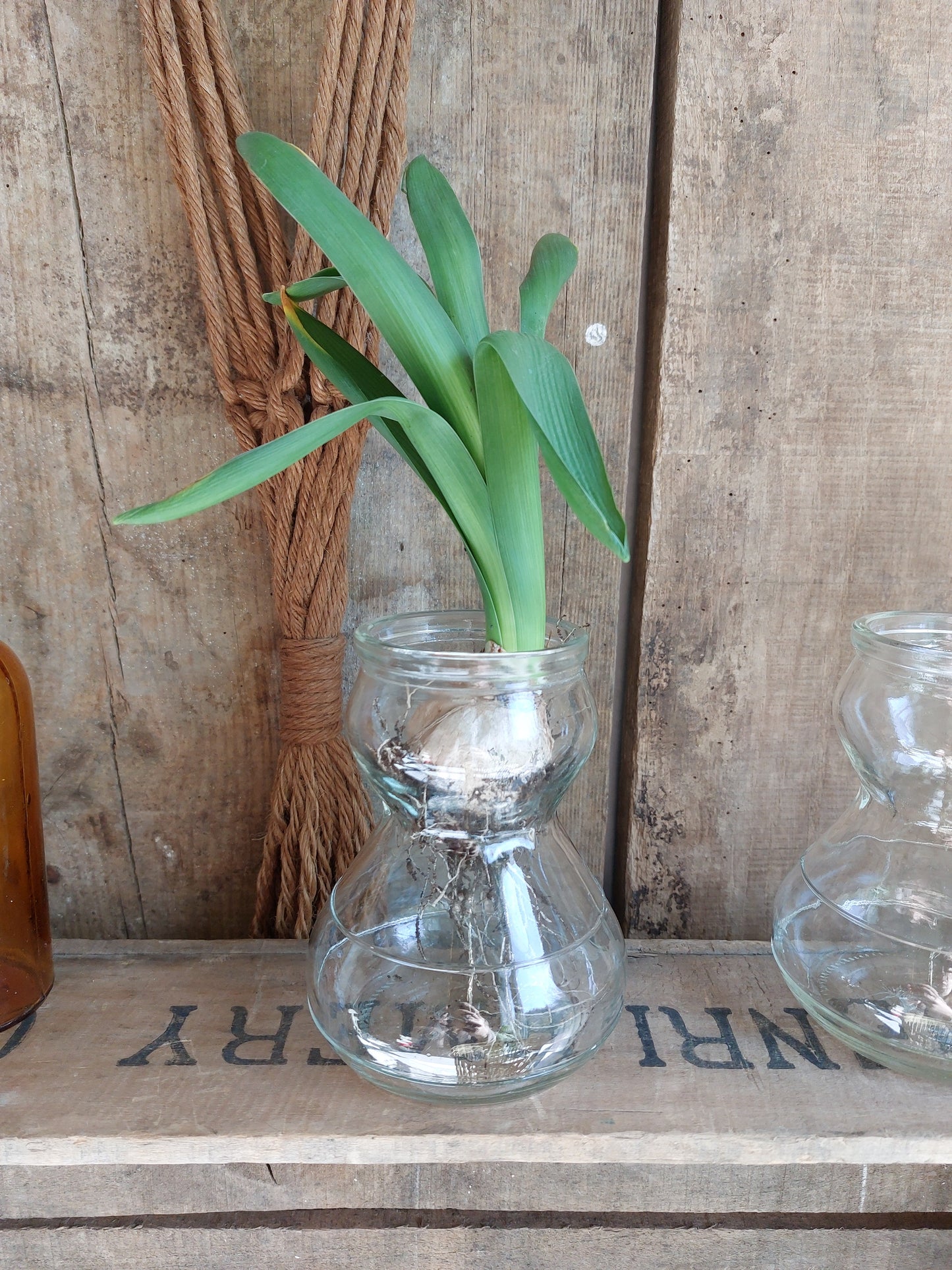 Vase à bulbe vintage
