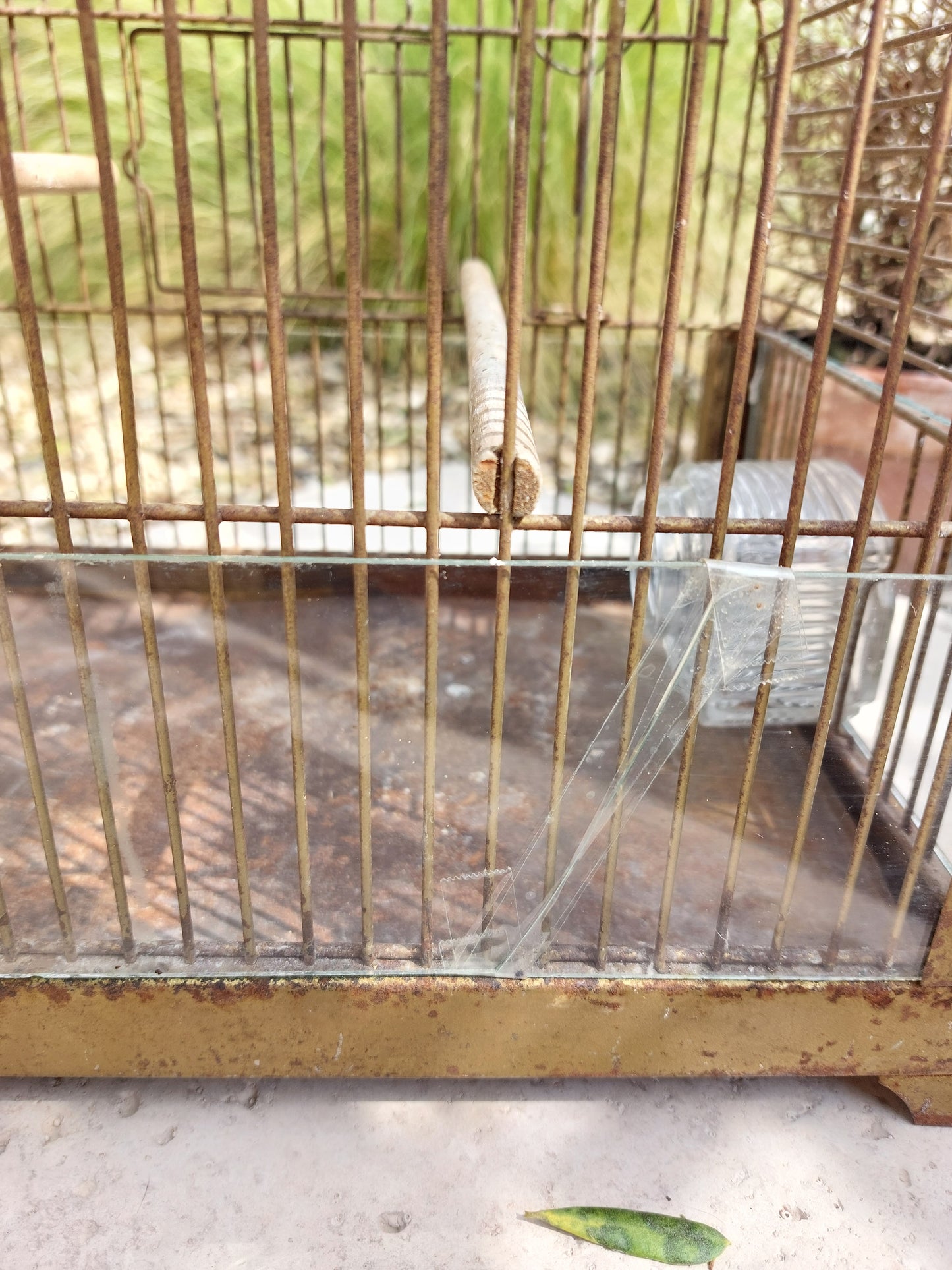 Petite cage à oiseaux ancienne