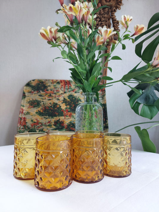 Lot de 6 verres ambrés vintage Pernod