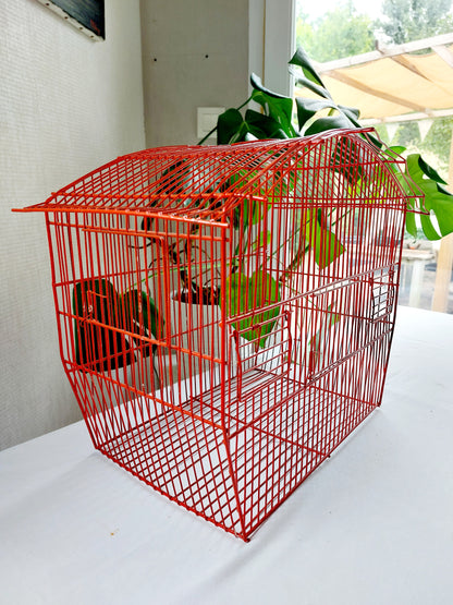 Cage à oiseaux vintage
