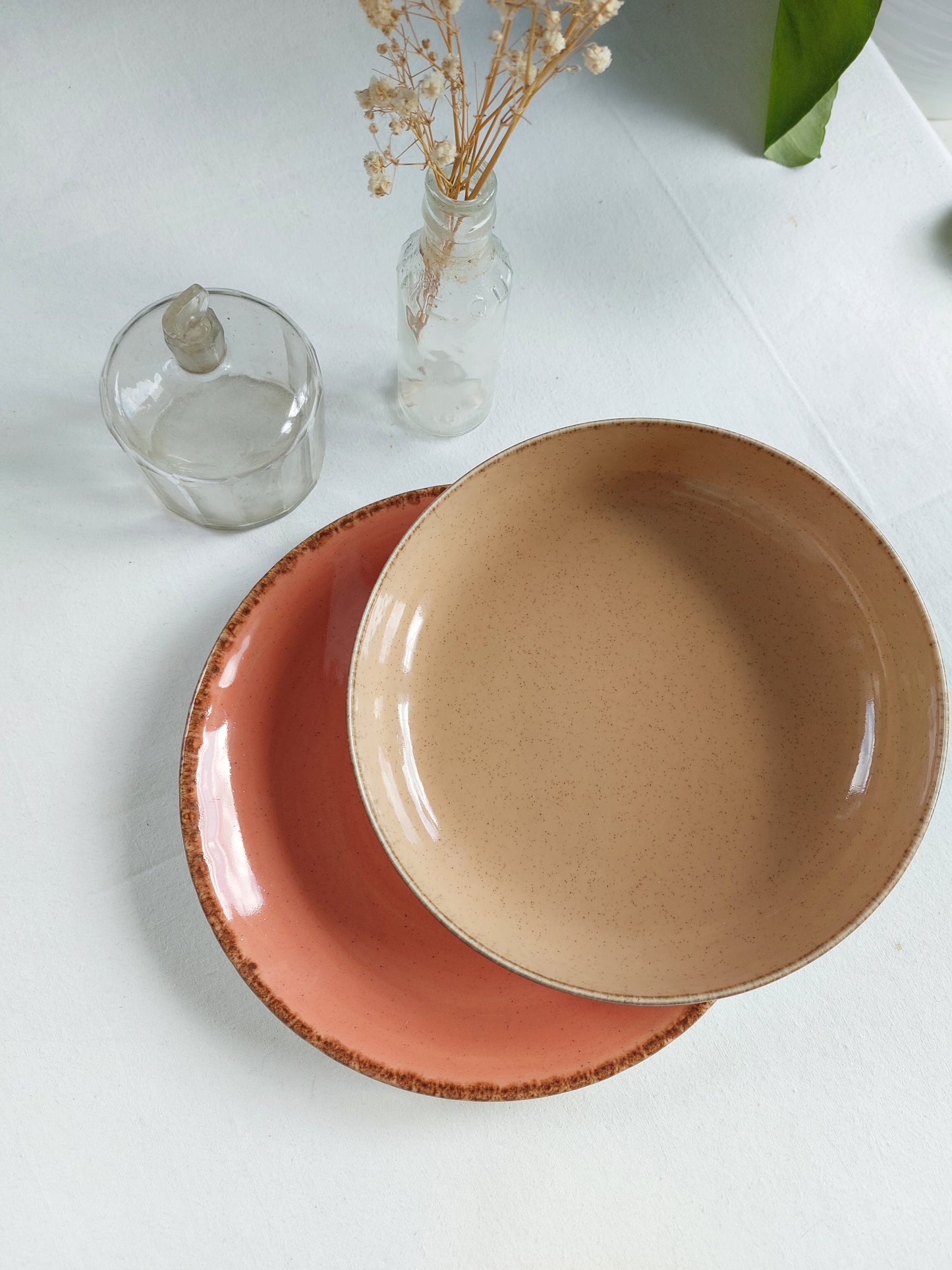 Lot de 2 assiettes rose saumon
