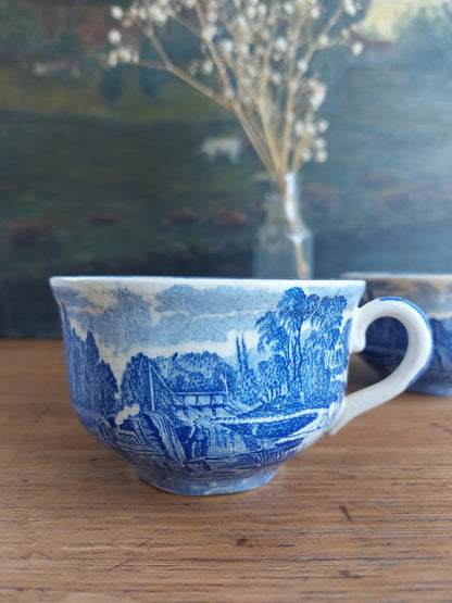 Lot de 2 tasses à thé Palissy – England