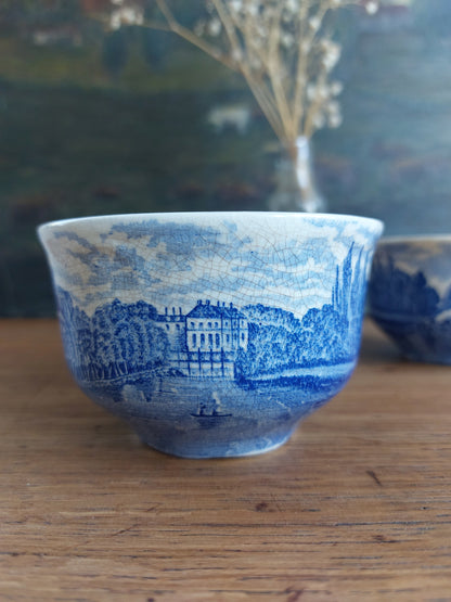 Lot de 2 tasses à thé Palissy – England