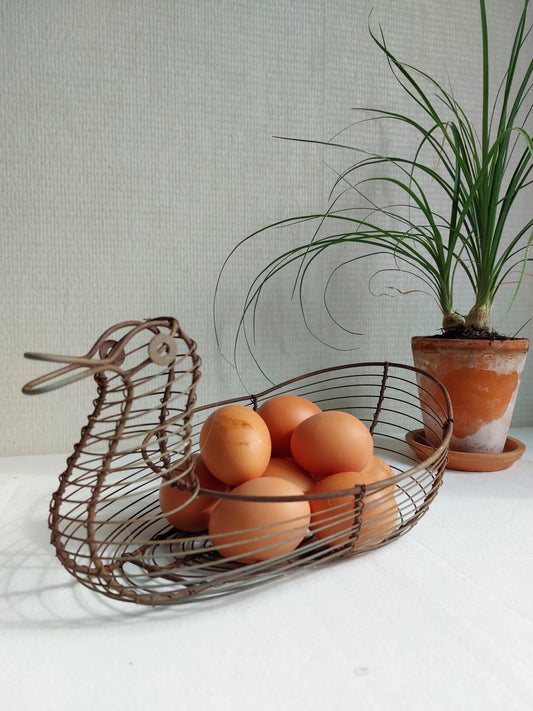 Panier ancien en fil de fer « canard »