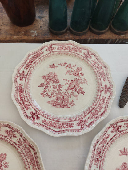 Lot de 8 assiettes plates anglaises by Mason’s modèle « Manchu »