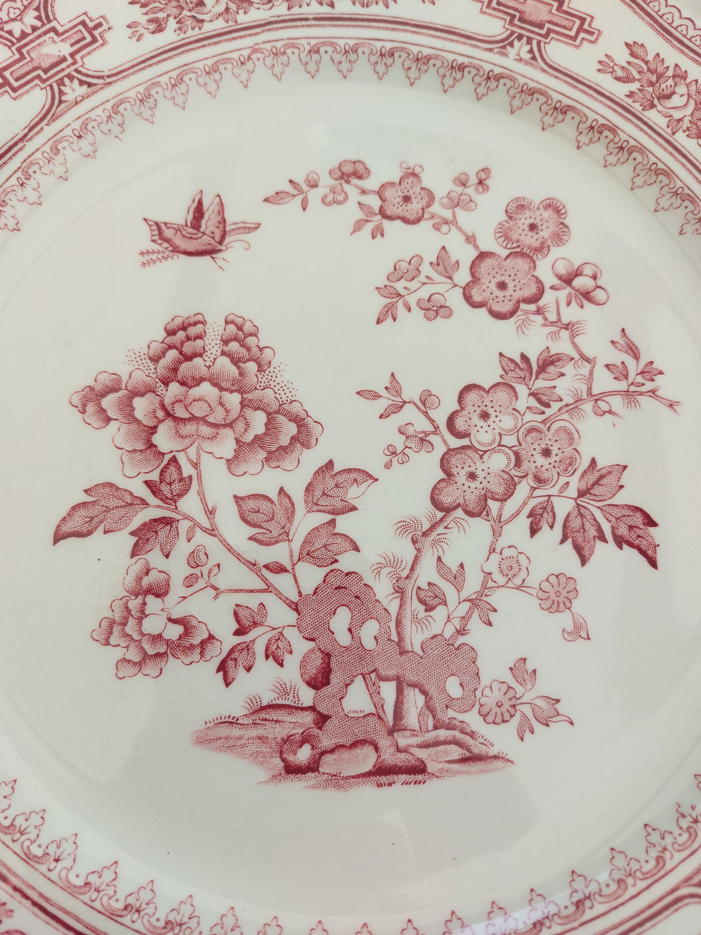Lot de 8 assiettes plates anglaises by Mason’s modèle « Manchu »