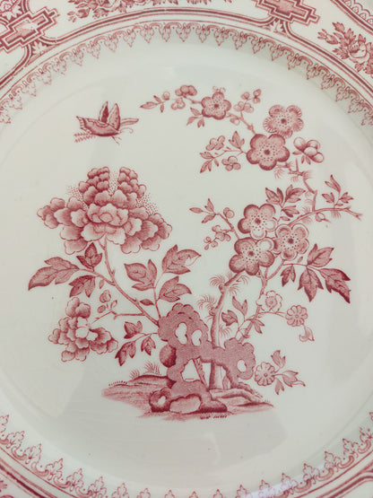 Lot de 8 assiettes plates anglaises by Mason’s modèle « Manchu »