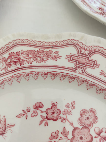 Lot de 8 assiettes plates anglaises by Mason’s modèle « Manchu »