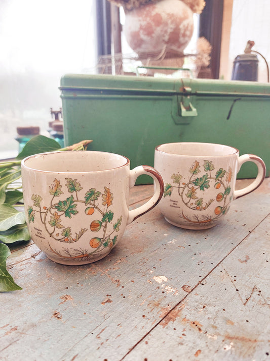 Duo de mugs « Coloquinte »