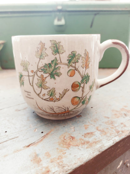 Duo de mugs « Coloquinte »