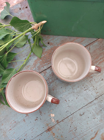 Duo de mugs « Coloquinte »