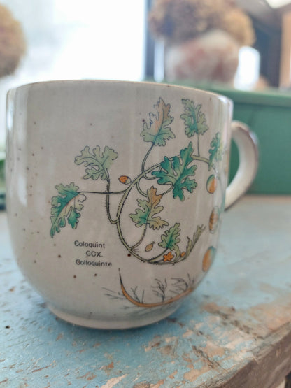 Duo de mugs « Coloquinte »