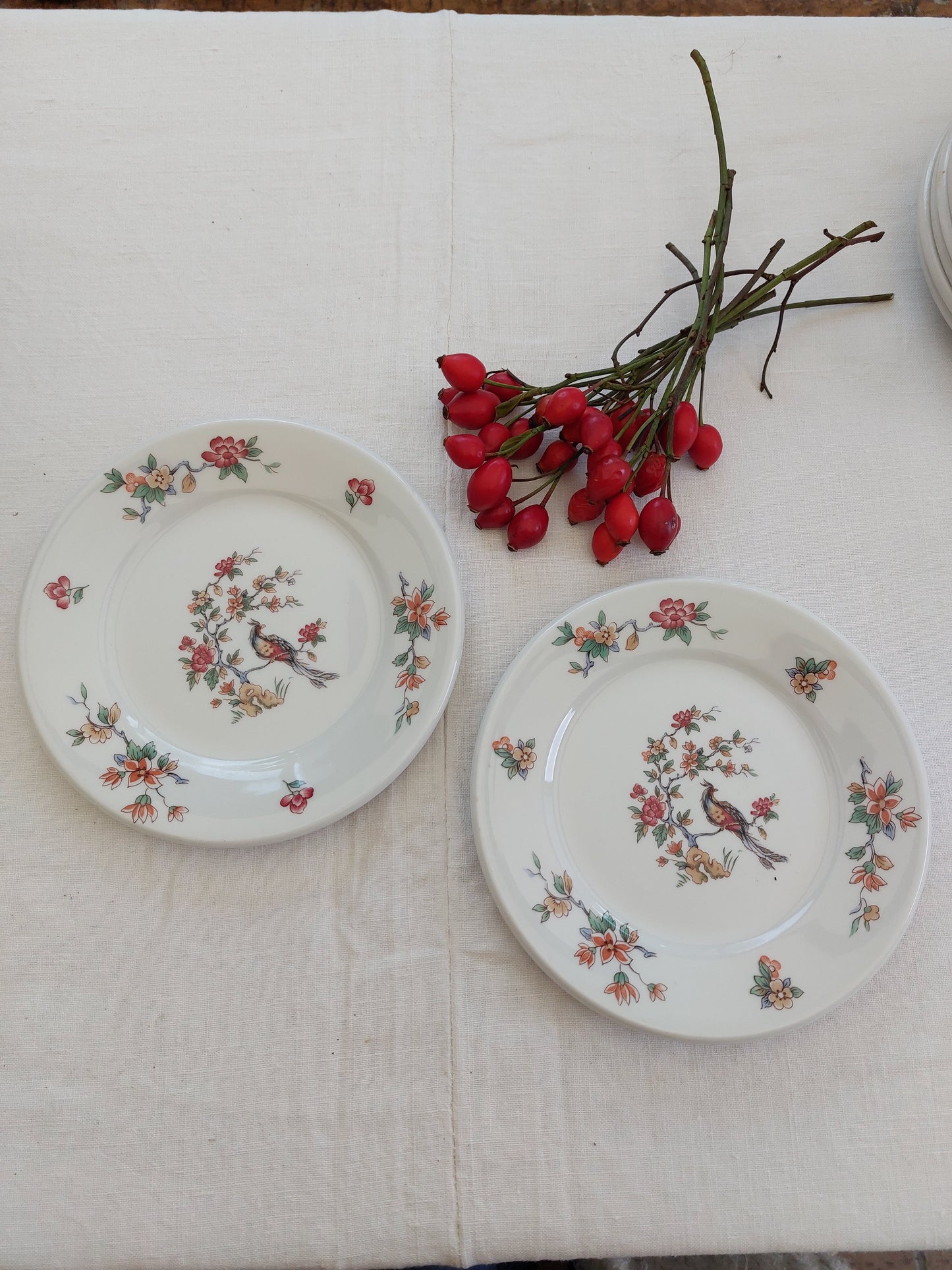 Lot de 6 assiettes à dessert et 2 plus petites Sarreguemines modèle « Oiseaux du paradis »