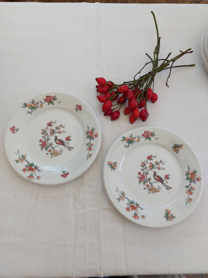 Lot de 6 assiettes à dessert et 2 plus petites Sarreguemines modèle « Oiseaux du paradis »