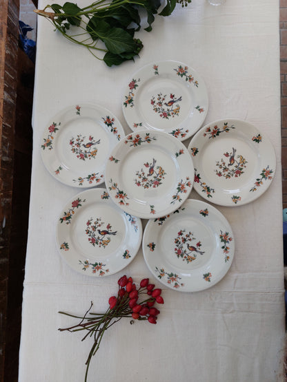 Lot de 6 assiettes à dessert et 2 plus petites Sarreguemines modèle « Oiseaux du paradis »