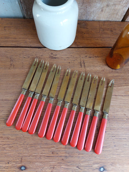 Lot de 12 couteaux à crustacés