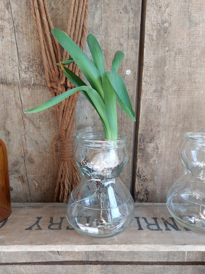Vase à bulbe vintage