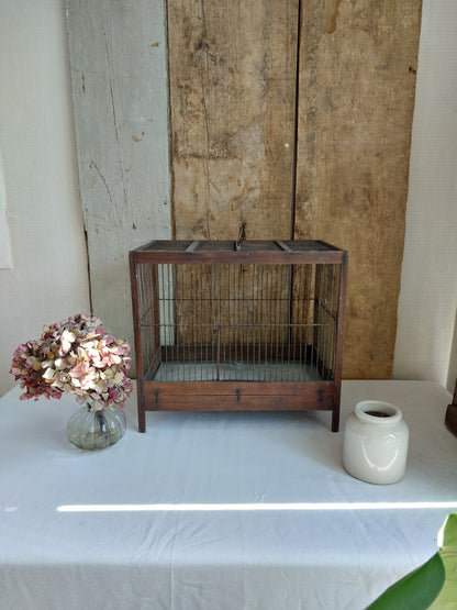 Cage à oiseaux vintage mi XXème