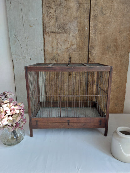 Cage à oiseaux vintage mi XXème