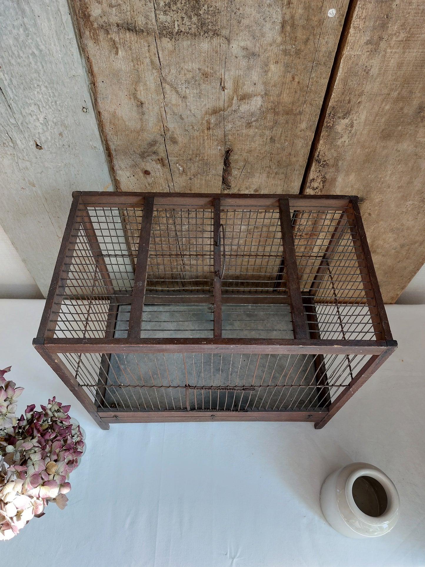Cage à oiseaux vintage mi XXème