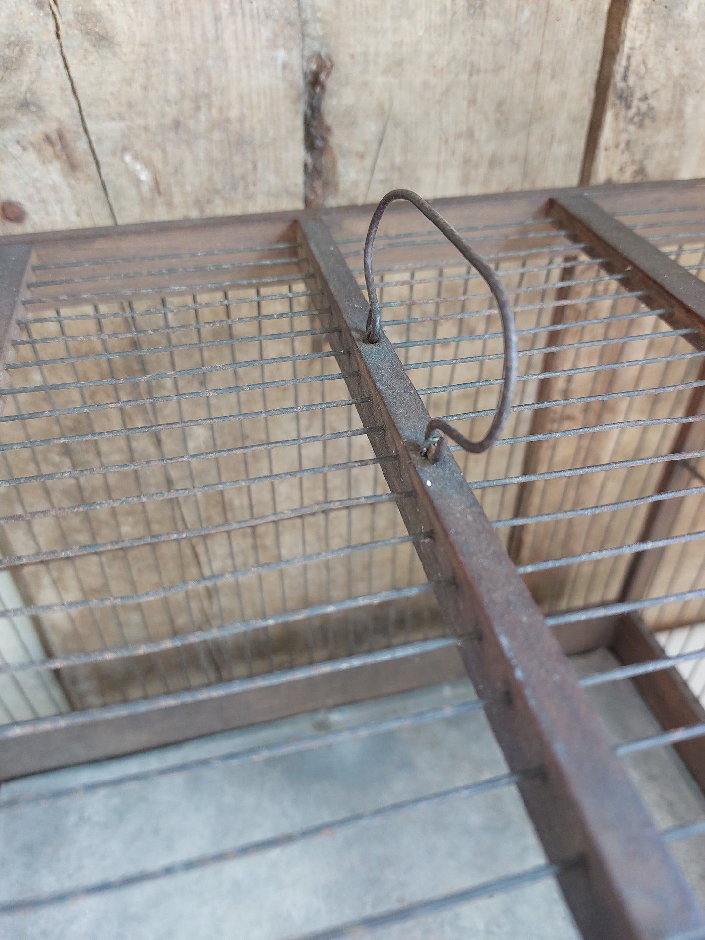 Cage à oiseaux vintage mi XXème