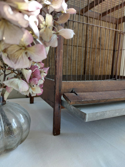 Cage à oiseaux vintage mi XXème
