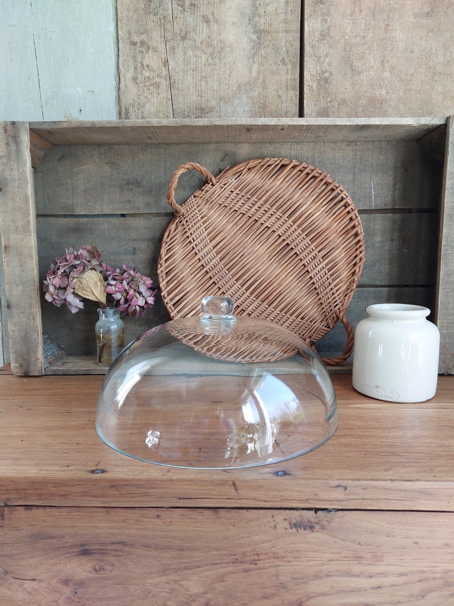 Cloche à gâteau