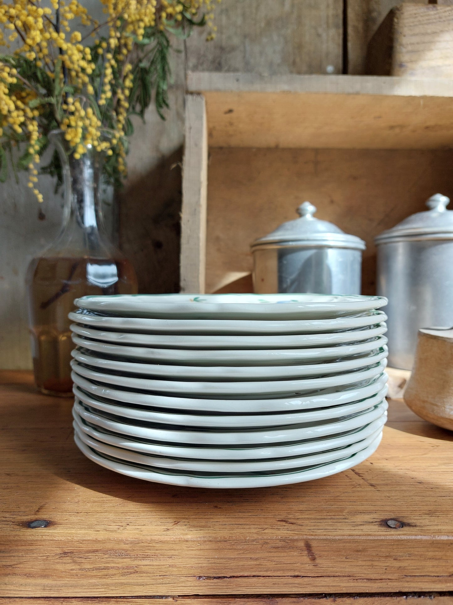 Lot de 6 assiettes à dessert Longchamp «Tulipes»