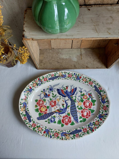 Grand plat vintage « Oiseaux et Paons »